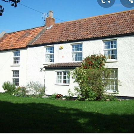 Millbatch Farm Panzió Glastonbury Kültér fotó