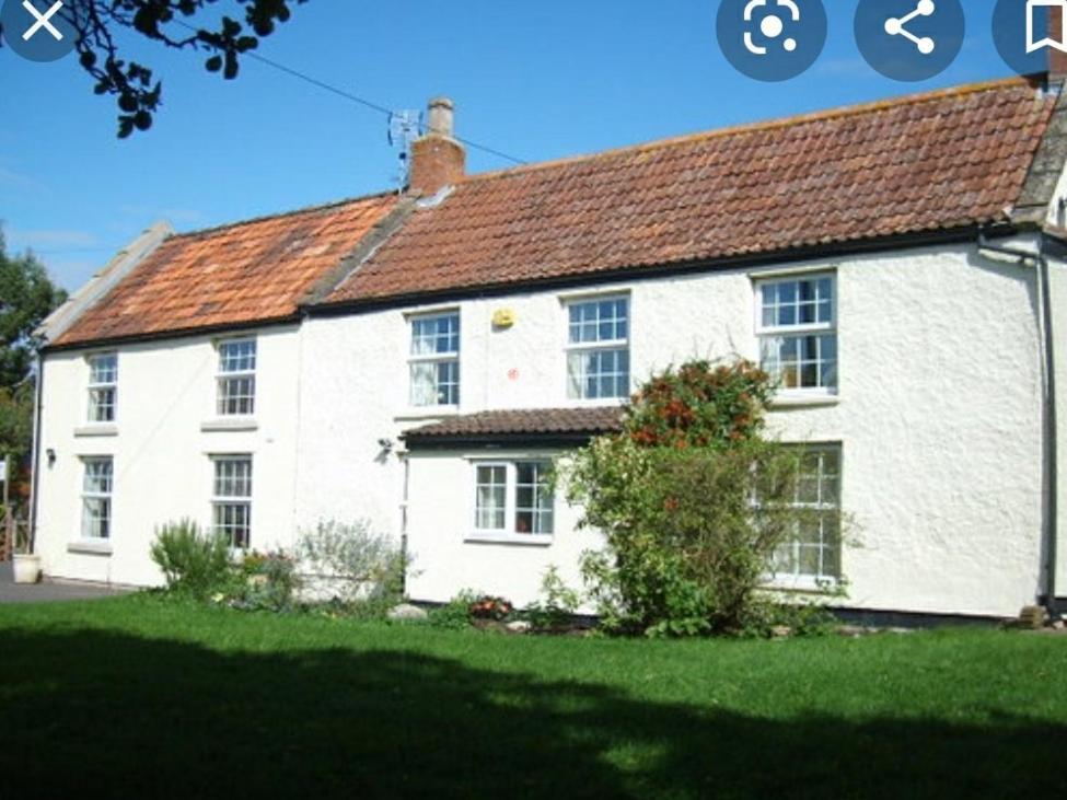 Millbatch Farm Panzió Glastonbury Kültér fotó